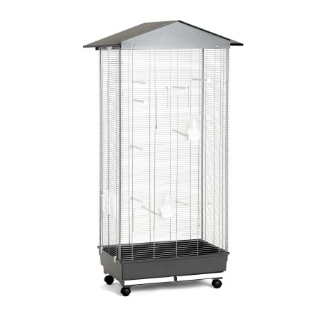 Leopet voliera Valeria 75x55x150h