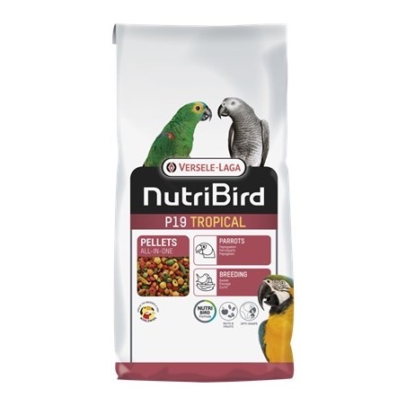 Versele P19 pappagalli 10kg