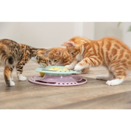 Trixie - Junior Kitten Circle