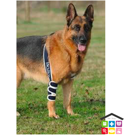 BT SOFT TUTORE PER GOMITO/ Soft Plus S