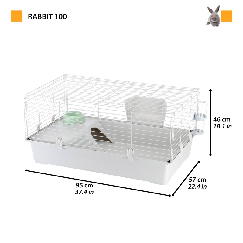RABBIT 100