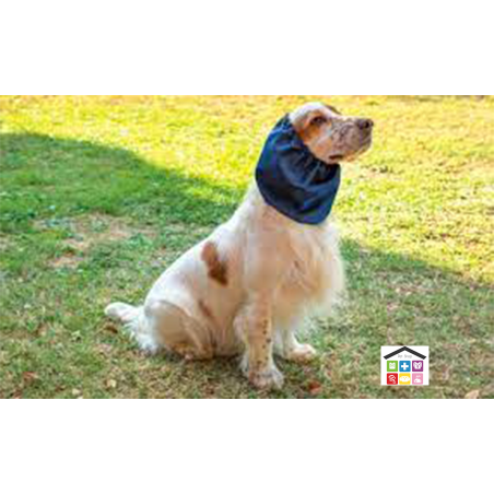 Leo pet paraorecchie per cani vari colori